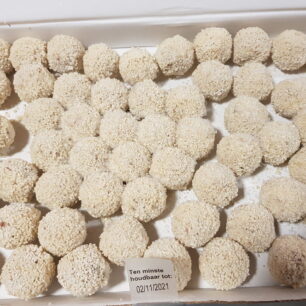 Bitterballen